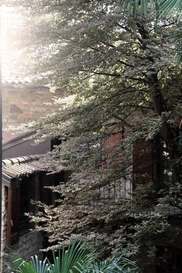Suites&Atelier Lake 科莫 外观 照片